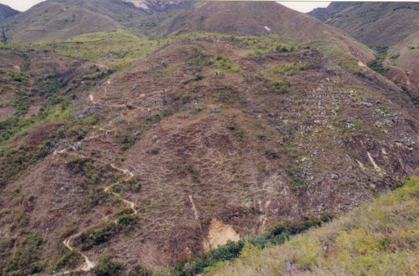 Mountain ridge trail to Shubet